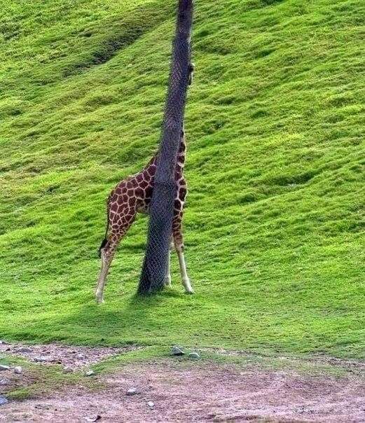 South Africa